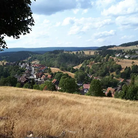 Traumharz *