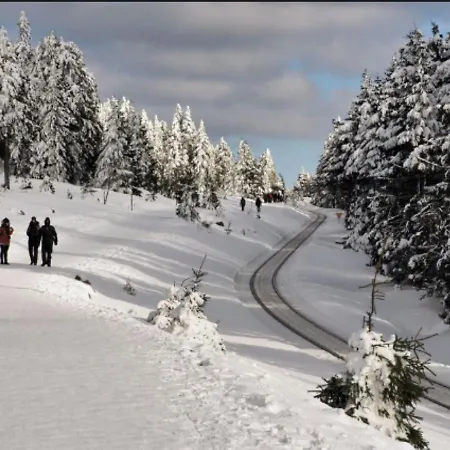 Traumharz Daire Sankt Andreasberg