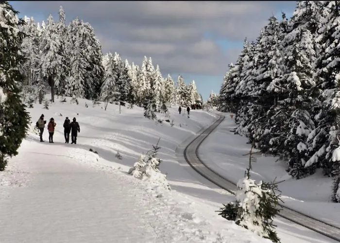 Traumharz Apartament Sankt Andreasberg