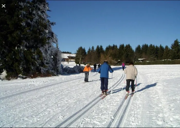 Traumharz Apartament *